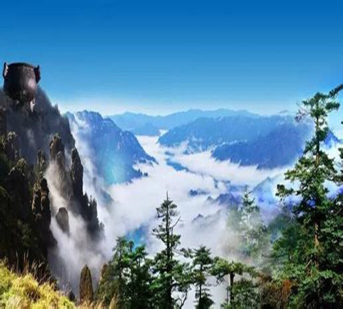 各國為搶中國游客花式亮招：學(xué)中國禮儀 明星當(dāng)大使