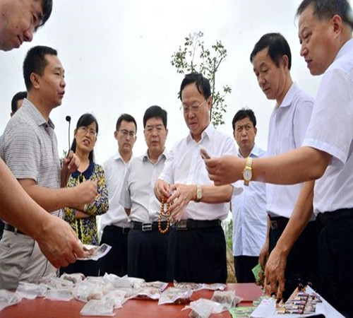 省林業(yè)廳廳長劉均剛到聊城調(diào)研林業(yè)扶貧開發(fā)