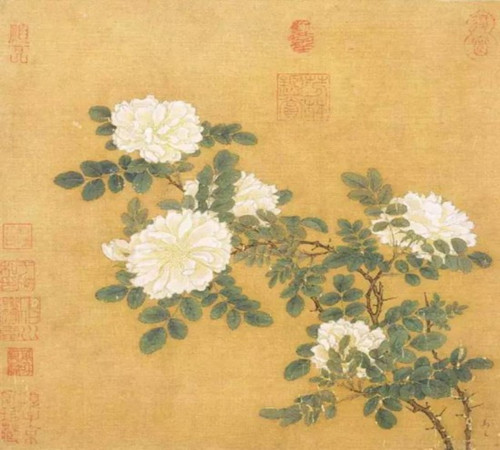 高清組圖：困頓中的浪漫 宋畫(huà)之花鳥(niǎo)卷