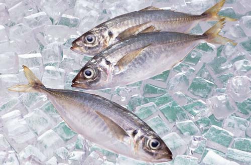 冷凍魚和活魚比起來 營(yíng)養(yǎng)價(jià)值是不是都給“凍”沒了