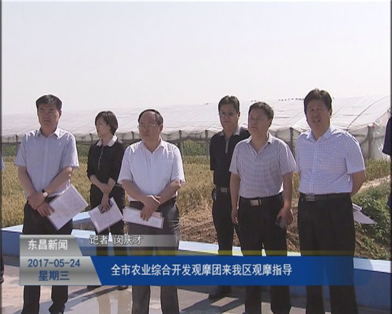 全市農(nóng)業(yè)綜合開發(fā)觀摩團(tuán)來(lái)我區(qū)觀摩指導(dǎo)