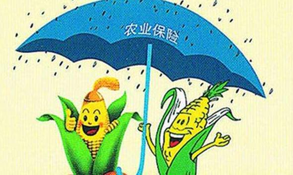 農(nóng)業(yè)保險(xiǎn)保費(fèi)收入十年增七倍 保障水平逐年升高