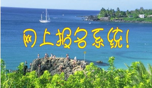 今年聊城城區(qū)小學(xué)初中招生首次網(wǎng)上報名