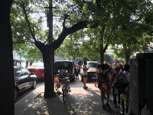 猥褻兒童事件頻發(fā)：校園性教育何時不再尷尬？