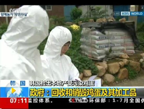 每天吃兩個半“毒蛋”無害？韓政府解釋遭輿論狠批