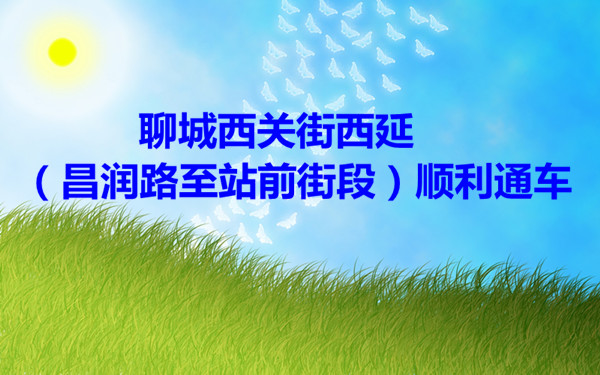 聊城西關街西延（昌潤路至站前街段）順利通車