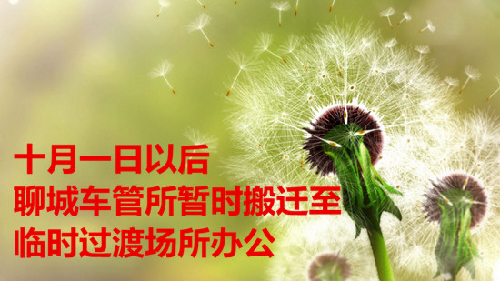 十月一日以后 聊城車管所暫時搬遷至臨時過渡場所辦公