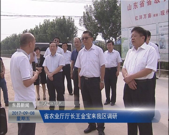 省農(nóng)業(yè)廳廳長(zhǎng)王金寶一行來我區(qū)調(diào)