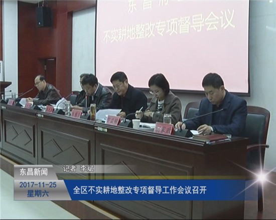 全區(qū)不實耕地整改專項督導工作會議召開