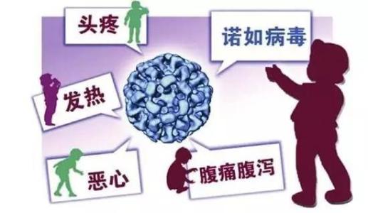 寶寶冬季嘔吐、拉肚子 當(dāng)心諾如病毒侵襲