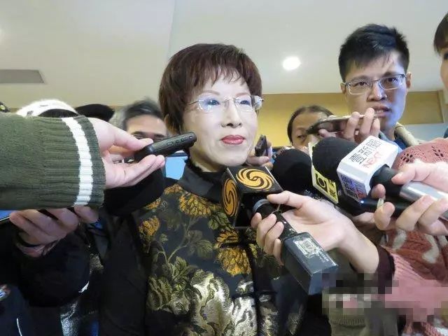 與國民黨分庭抗禮？洪秀柱：別都從負(fù)面看