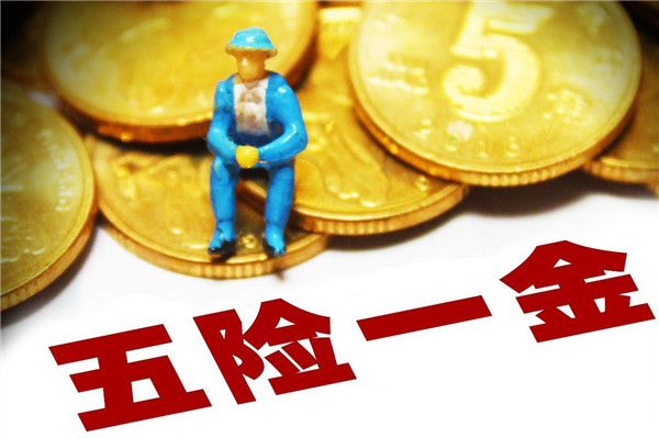 五險一金沒變六險二金 補充性保險不具法定強制性