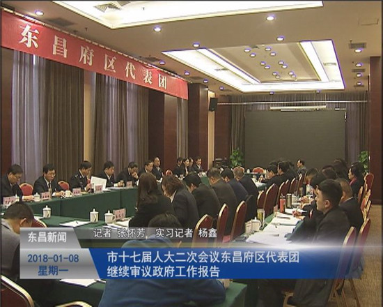 市十七屆人大二次會議東昌府區(qū)代表團繼續(xù)審議政府工作報告