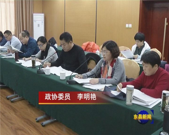 政協(xié)委員分組討論榮書記講話 政協(xié)工作報(bào)告及提案工作報(bào)告