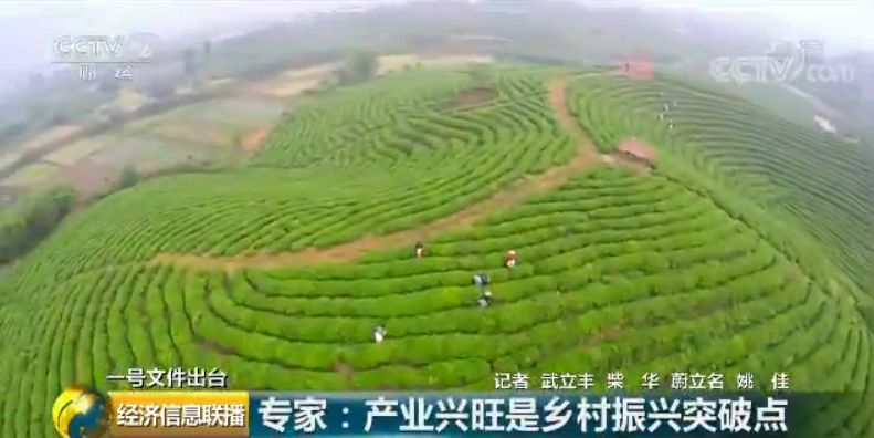 一張圖看懂中央一號文件:這些產業(yè)未來很吃香