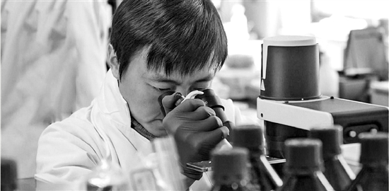 世界首個哺乳動物細胞圖譜在浙江大學(xué)誕生