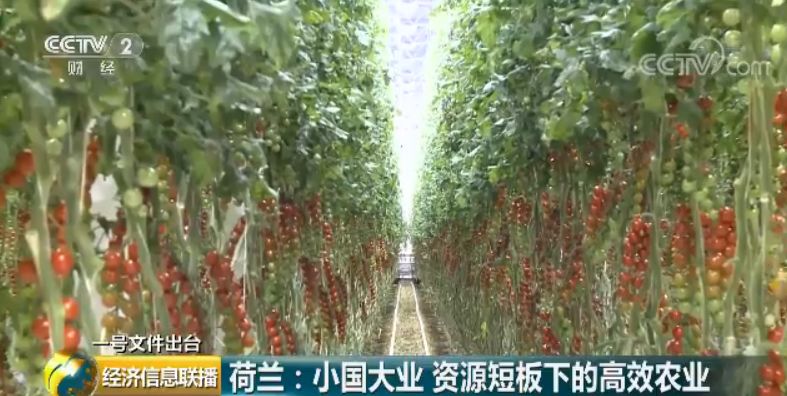 一張圖看懂中央一號文件:這些產業(yè)未來很吃香