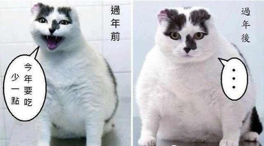 每逢佳節(jié)胖三斤？這幾招幫你輕松打破魔咒