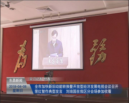全市加快新舊動能轉(zhuǎn)換暨開放型經(jīng)濟發(fā)展電視會議召開 榮紅智作典型發(fā)言 劉培國在分會場參加收看