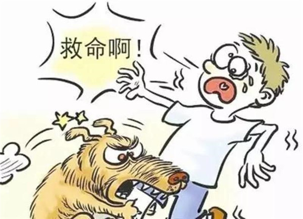 天暖狂犬病進入高發(fā)期 聊城疾控專家提醒防范