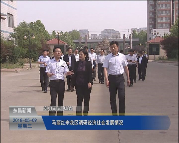馬麗紅來(lái)我區(qū)調(diào)研經(jīng)濟(jì)社會(huì)發(fā)展情況