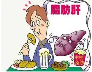 脂肪肝不是病？非酒精性脂肪肝更易變成肝硬化