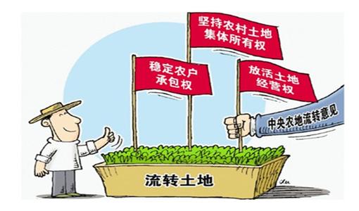 農(nóng)地“三權(quán)”分置 完善意見出臺 2020年全市農(nóng)村土地規(guī)?；?jīng)營率達(dá)到50%以上