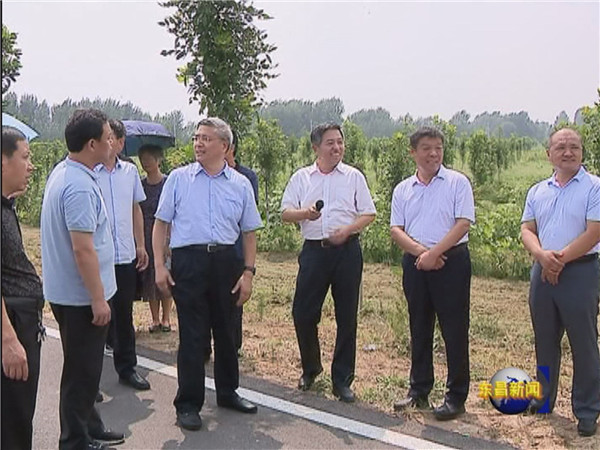 邯鄲市考察團來我區(qū)考察創(chuàng)建國家森林城市工作