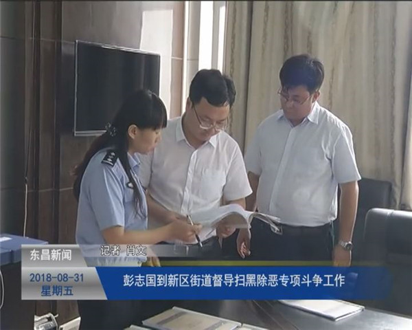 彭志國到新區(qū)街道督導掃黑除惡專項斗爭工作