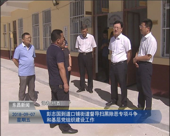 彭志國到道口鋪街道督導(dǎo)掃黑除惡專項(xiàng)斗爭和基層黨組織建設(shè)工作
