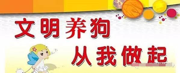 養(yǎng)狗干擾他人生活不改要罰款！聊城發(fā)通告規(guī)范養(yǎng)犬