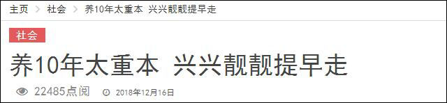 養(yǎng)不起！馬來西亞部長稱將把2只大熊貓?zhí)崆八瓦€中國