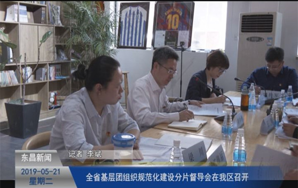 全省基層團組織規(guī)范化建設(shè)分片督導(dǎo)會在我區(qū)召開
