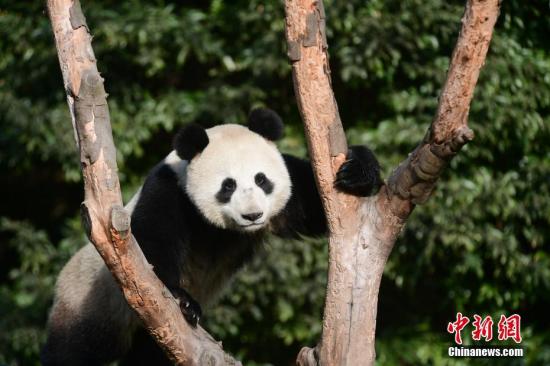 點(diǎn)擊進(jìn)入下一頁(yè)