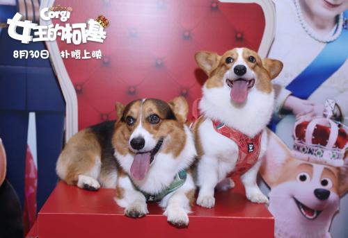 點(diǎn)擊進(jìn)入下一頁(yè)