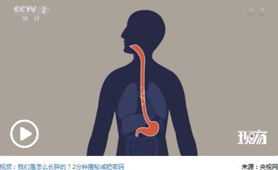 何時鍛煉效果好？研究：晨練有助減重晚練更有效率