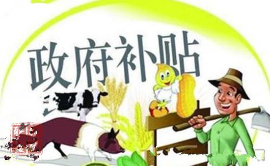 鼓勵(lì)養(yǎng)豬保障供應(yīng)中央財(cái)政補(bǔ)助獎(jiǎng)勵(lì)政策再加碼