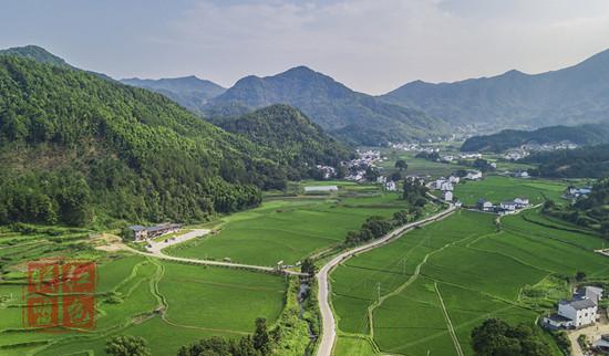 “爭(zhēng)相跳農(nóng)門”為何變成“我要回農(nóng)村”