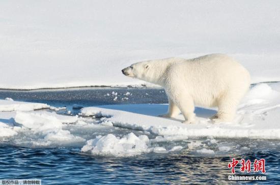 世界氣象組織：2010-2019年是有記錄以來最熱十年