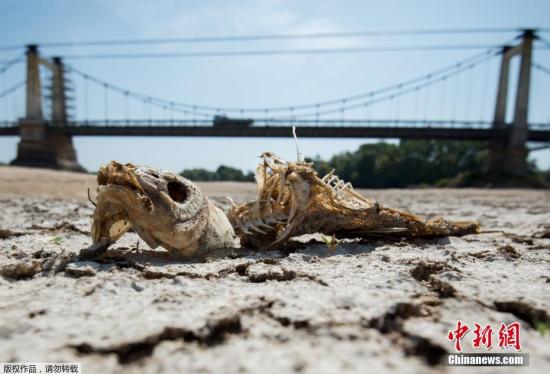敲響地球警鐘！未來十年或連續(xù)打破史上最熱排行榜