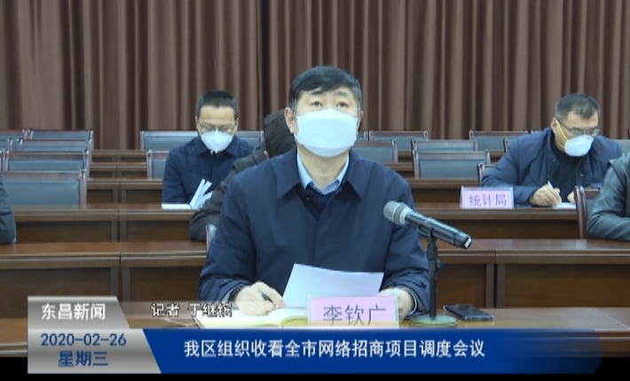 我區(qū)組織收看全市網(wǎng)絡(luò)招商項(xiàng)目調(diào)度會議