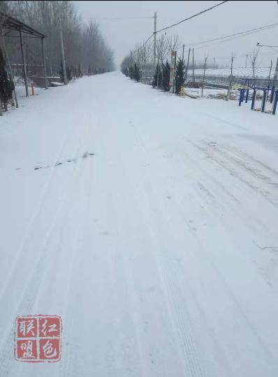 【張爐集戰(zhàn)“疫”一線】風(fēng)雪中的堅守