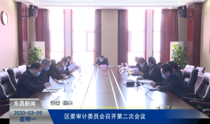 區(qū)委審計(jì)委員會(huì)召開(kāi)第二次會(huì)議