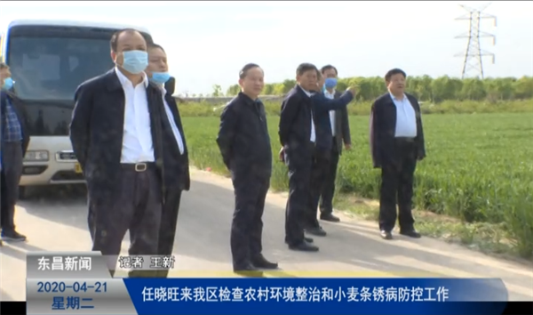 任曉旺來(lái)我區(qū)檢查農(nóng)村環(huán)境整治和小麥條銹病防控工作