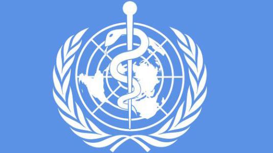 世衛(wèi)組織：臺(tái)灣未通報(bào)新冠肺炎“人傳人”