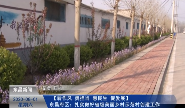 【轉(zhuǎn)作風(fēng) 勇?lián)?dāng) 惠民生 促發(fā)展】 東昌府區(qū)：扎實(shí)做好省級美麗鄉(xiāng)村示范村創(chuàng)建工作
