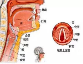 警惕！聲音嘶啞可能是腫瘤“信號”