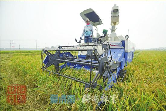 云南隆陽區(qū)：農(nóng)村勞動(dòng)力轉(zhuǎn)移就業(yè)摸排實(shí)現(xiàn)全覆蓋