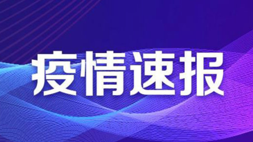 世衛(wèi)組織：全球累計新冠確診病例達42512186例
