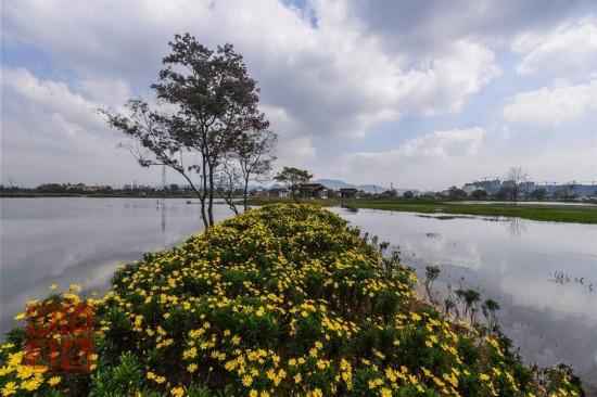 浙江富陽(yáng)：城市"生態(tài)綠肺"亮相